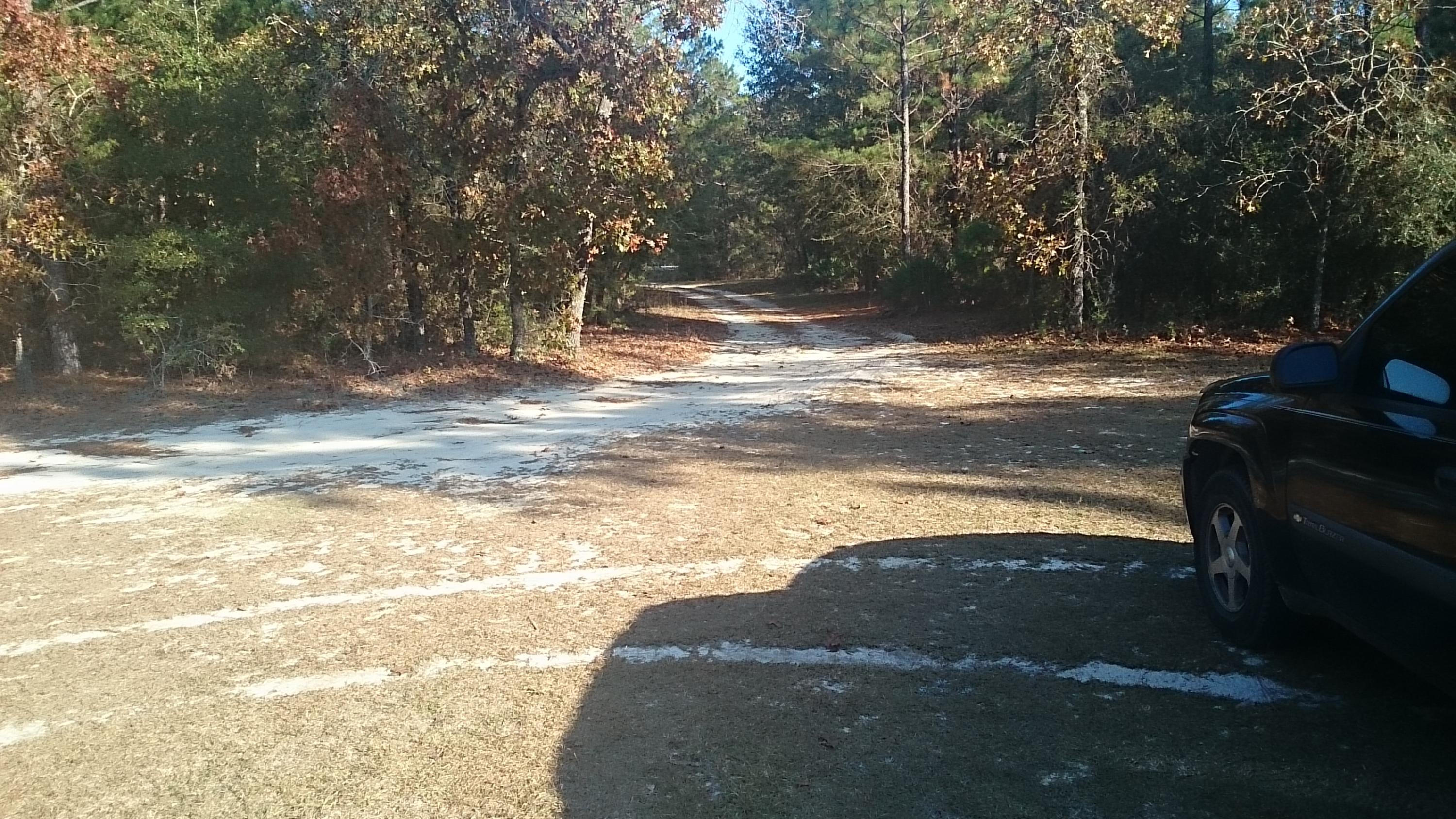 MOSSY HEAD 1 - Residential