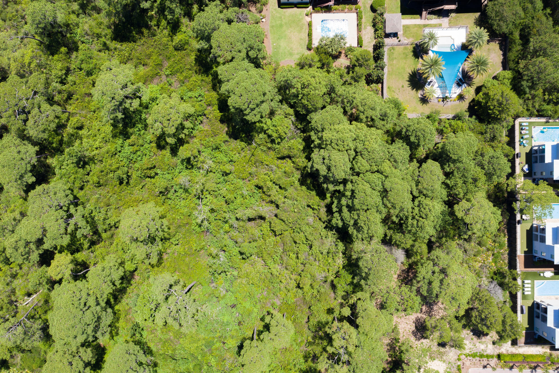 BEG NW/COR OF THE N 230.60 FT OF E 216.50 FT OF GOV LOT 24 SEC 04-3S-20W,S 87 DEG 46'53'E 49.00 FT,S - Land