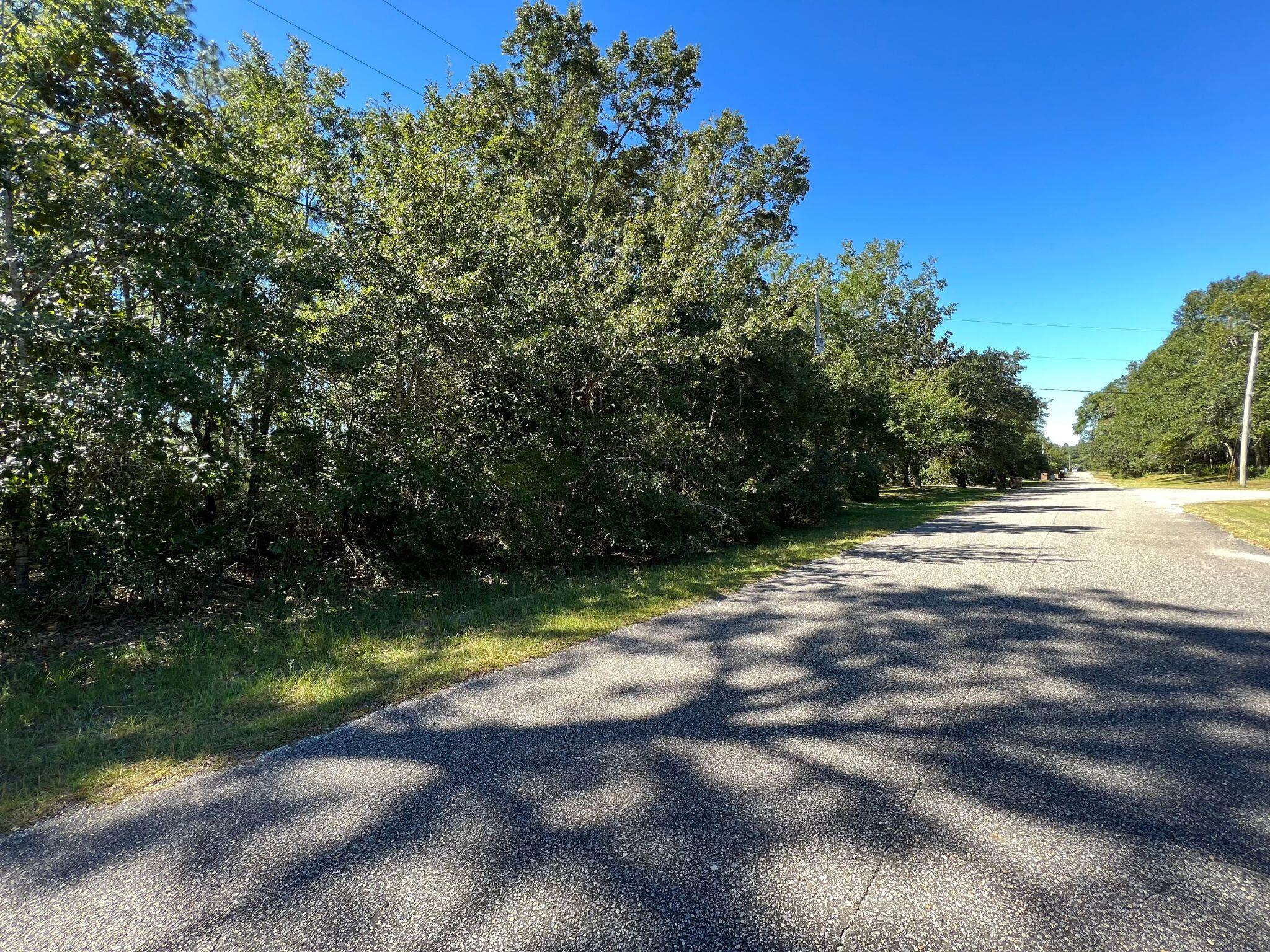 HAMMOCK DE GALVEZ - Land