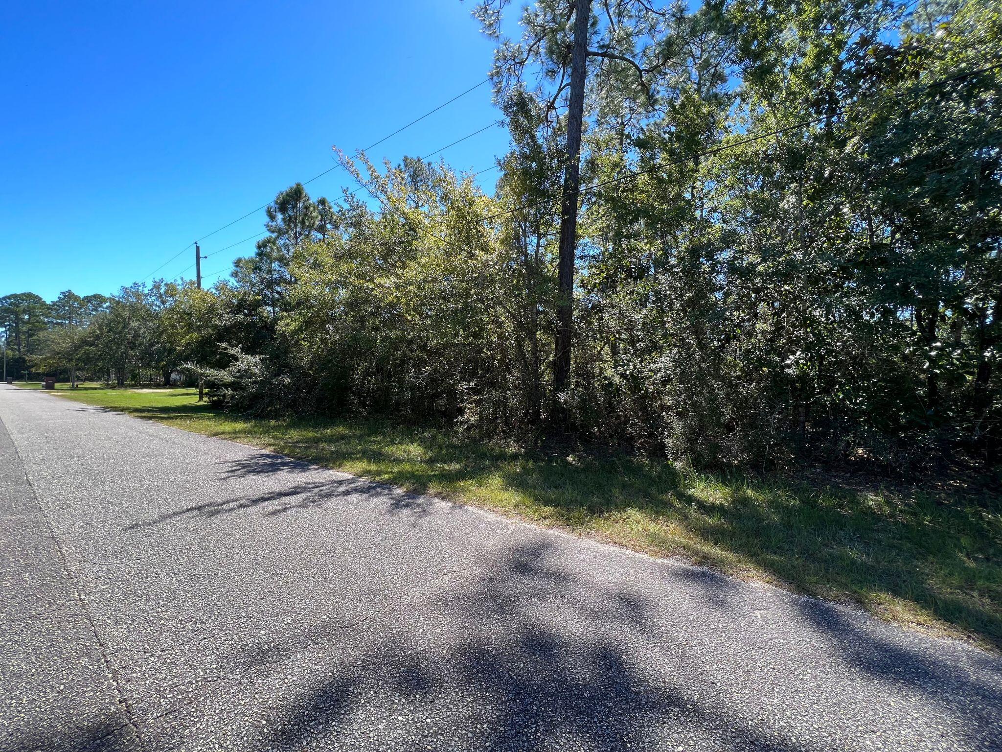 HAMMOCK DE GALVEZ - Land