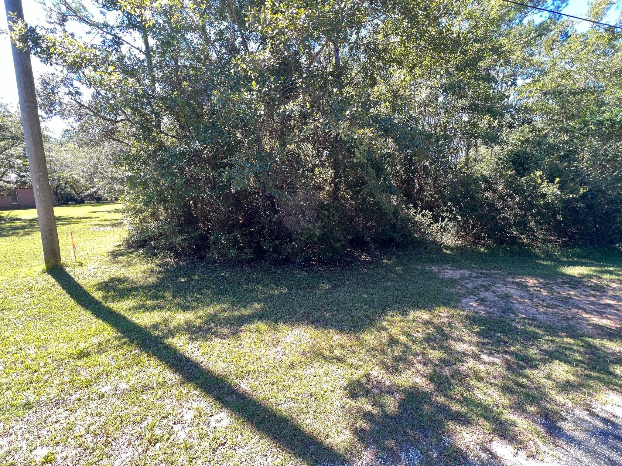 HAMMOCK DE GALVEZ - Land