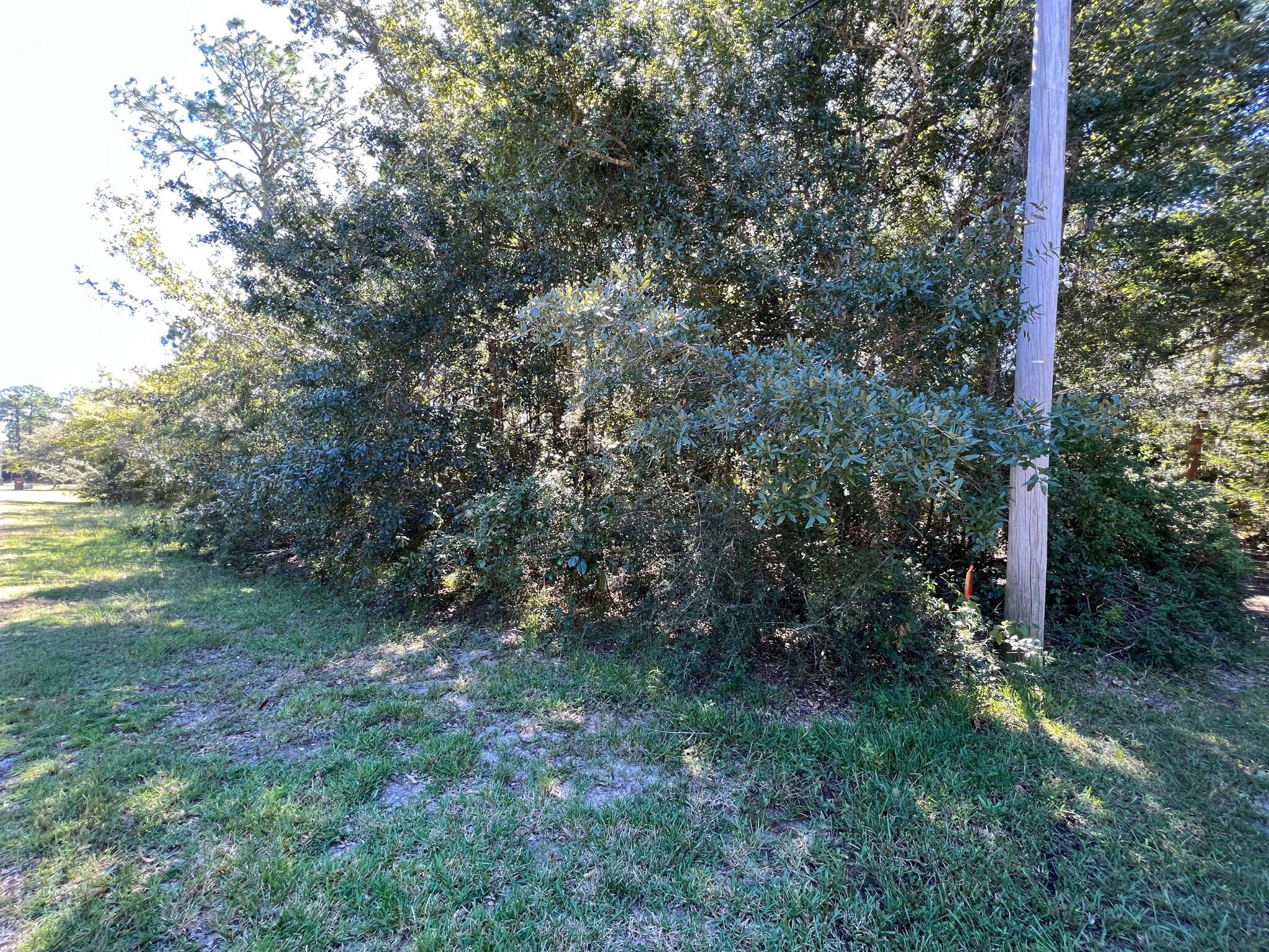 HAMMOCK DE GALVEZ - Land