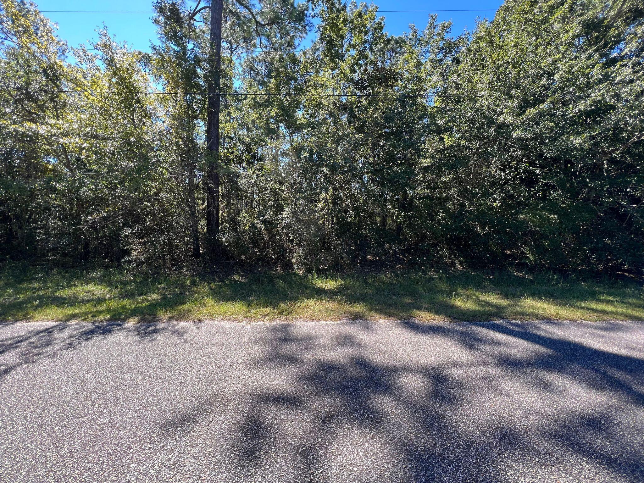 Level lot with deeded waterfront access! Voluntary HOA boasts a beautiful nature trail boardwalk that leads to the water. Come build your dream home in this tranquil neighborhood. New survey completed in August 2022!