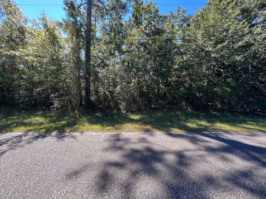 Level lot with deeded waterfront access! Voluntary HOA boasts a beautiful nature trail boardwalk that leads to the water. Come build your dream home in this tranquil neighborhood. New survey completed in August 2022!
