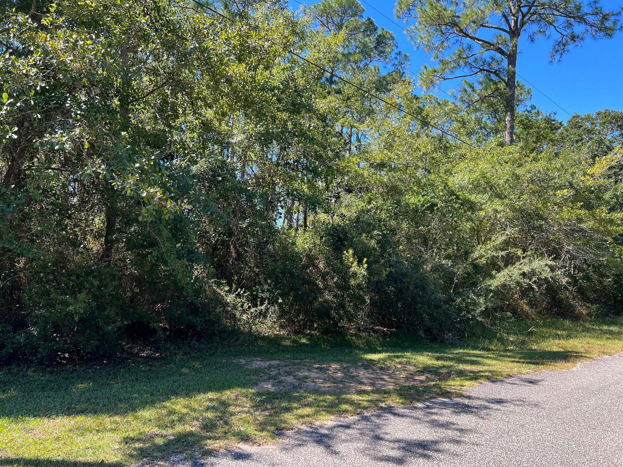 HAMMOCK DE GALVEZ - Land