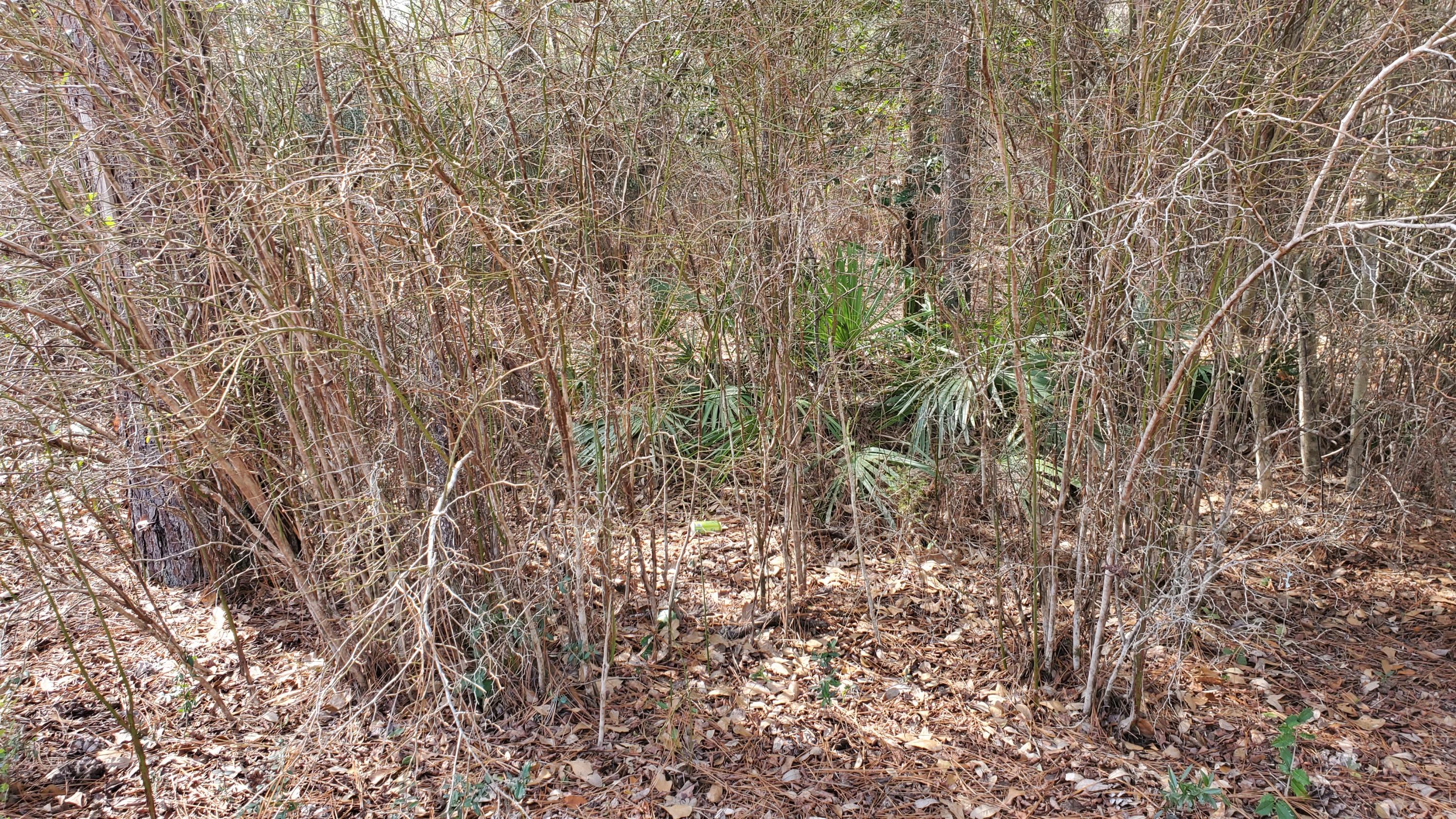 Indian Trails Ph VII - Land