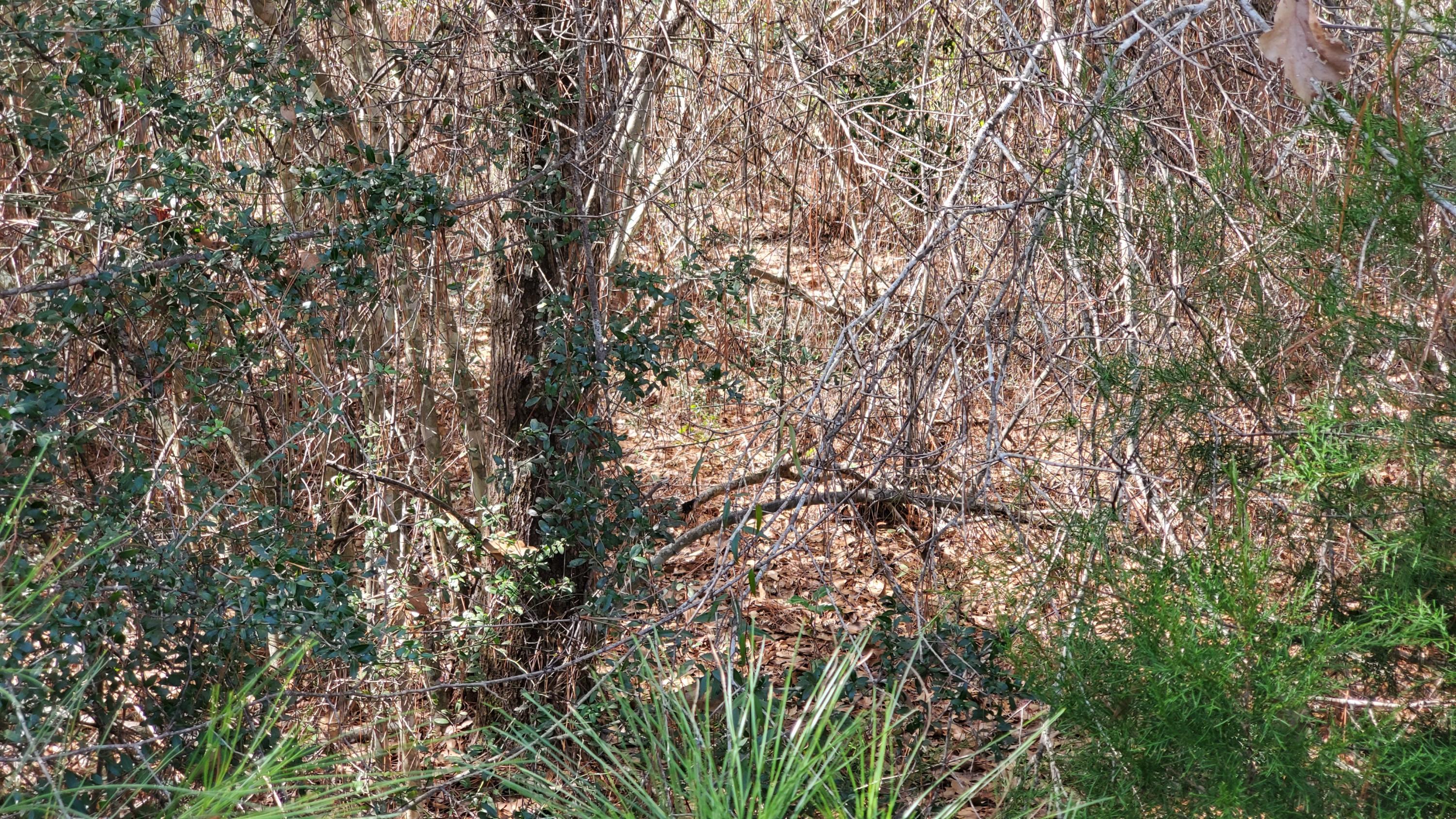 Indian Trails Ph VII - Land