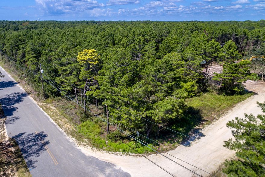 REDUCED PRICE! This highly desirable Inlet Beach property is the perfect location to build your beach home or vacation home. Just a half a mile from a public beach access and a gulf front 17 acre county park with public restrooms, and parking. A short distance from Lake Powell, and Camp Helen State Park. Its centrally located and provides easy bike access to 30Avenue Retail Shops, Rosemary Beach, Alys Beach and countless restaurants and shopping along 30A. With its highly coveted schools both public and private, its sure to be a great location for your family home. Great investment opportunity. Public sewer, water and utilities access to lot. No HOA fees.