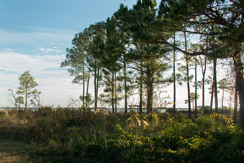 EMERALD POINTE PLAT 3 - Residential Lease