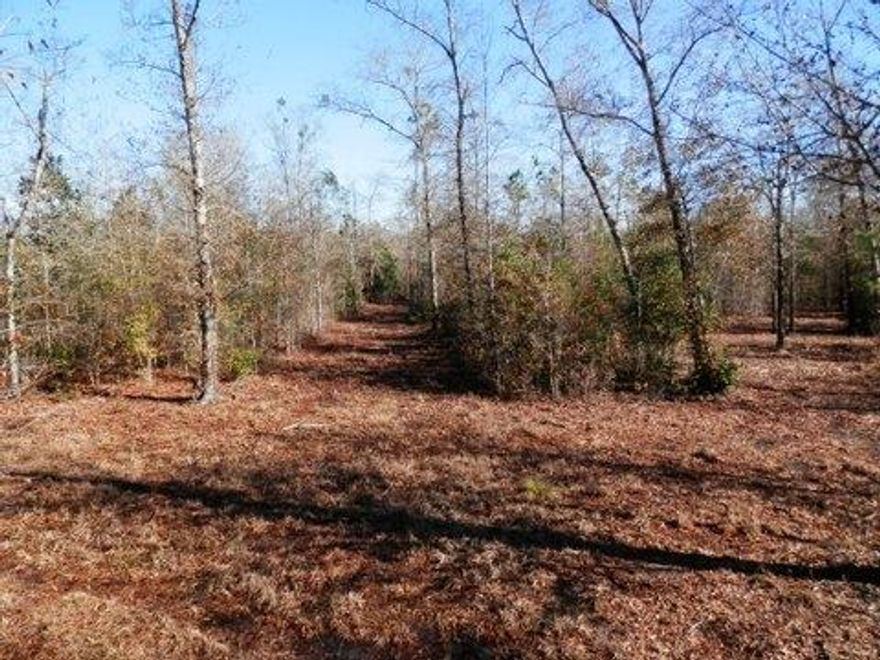 SO PEACEFUL, YET SO CLOSE TO TOWN!!20+/- Acres north of Bob Sikes Road. Property is wooded with trails throughout. Perfect for permanent residence or hunting camp get-a-way. Electric available. Private well and septic tank will be needed. Camper on-site is of no value. Small stream on back of property. Two driveways - one on north end and one on south end of property (please use south driveway).Must see to appreciate location and property!