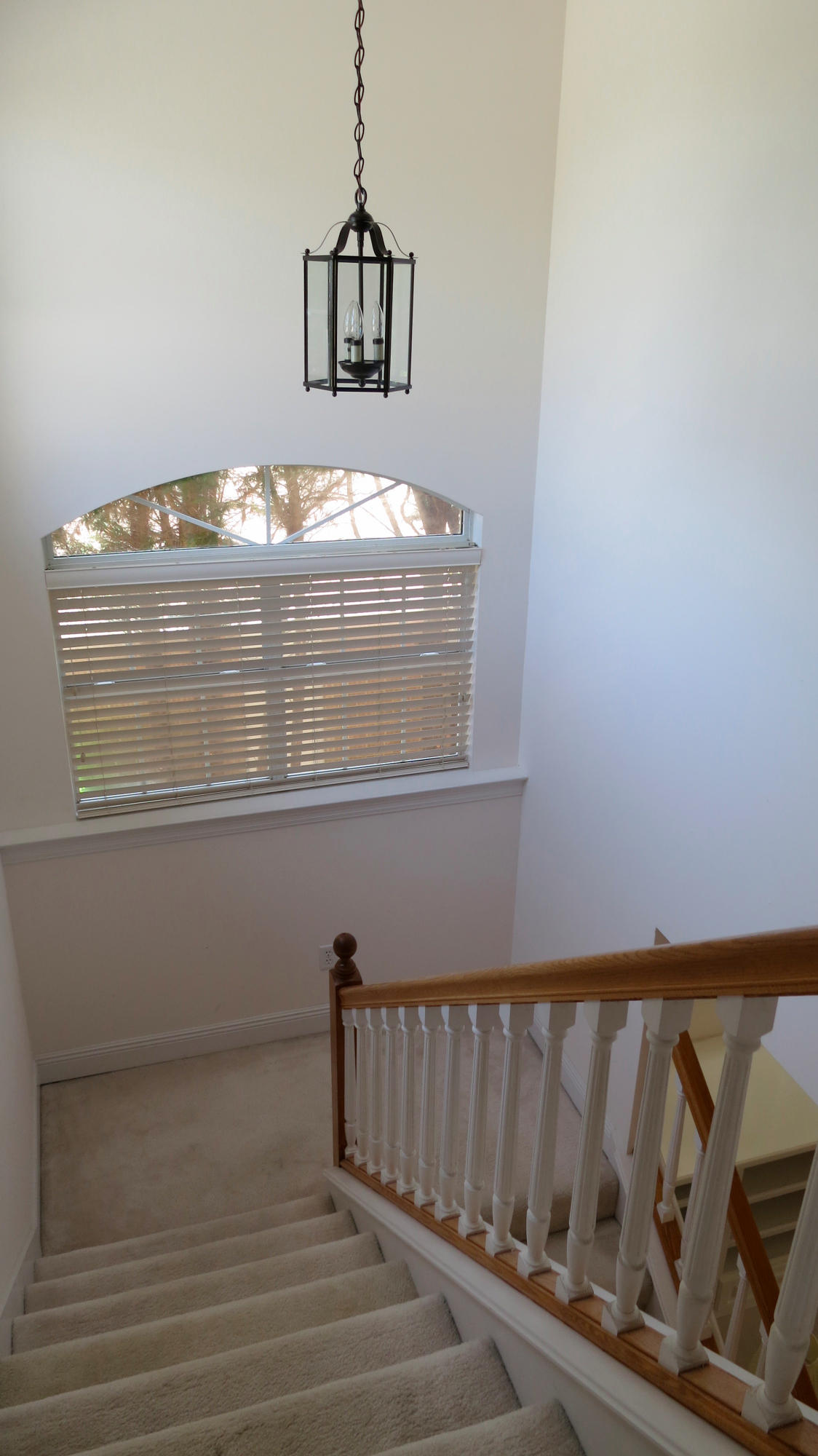 SHALIMAR POINTE S/D - Residential