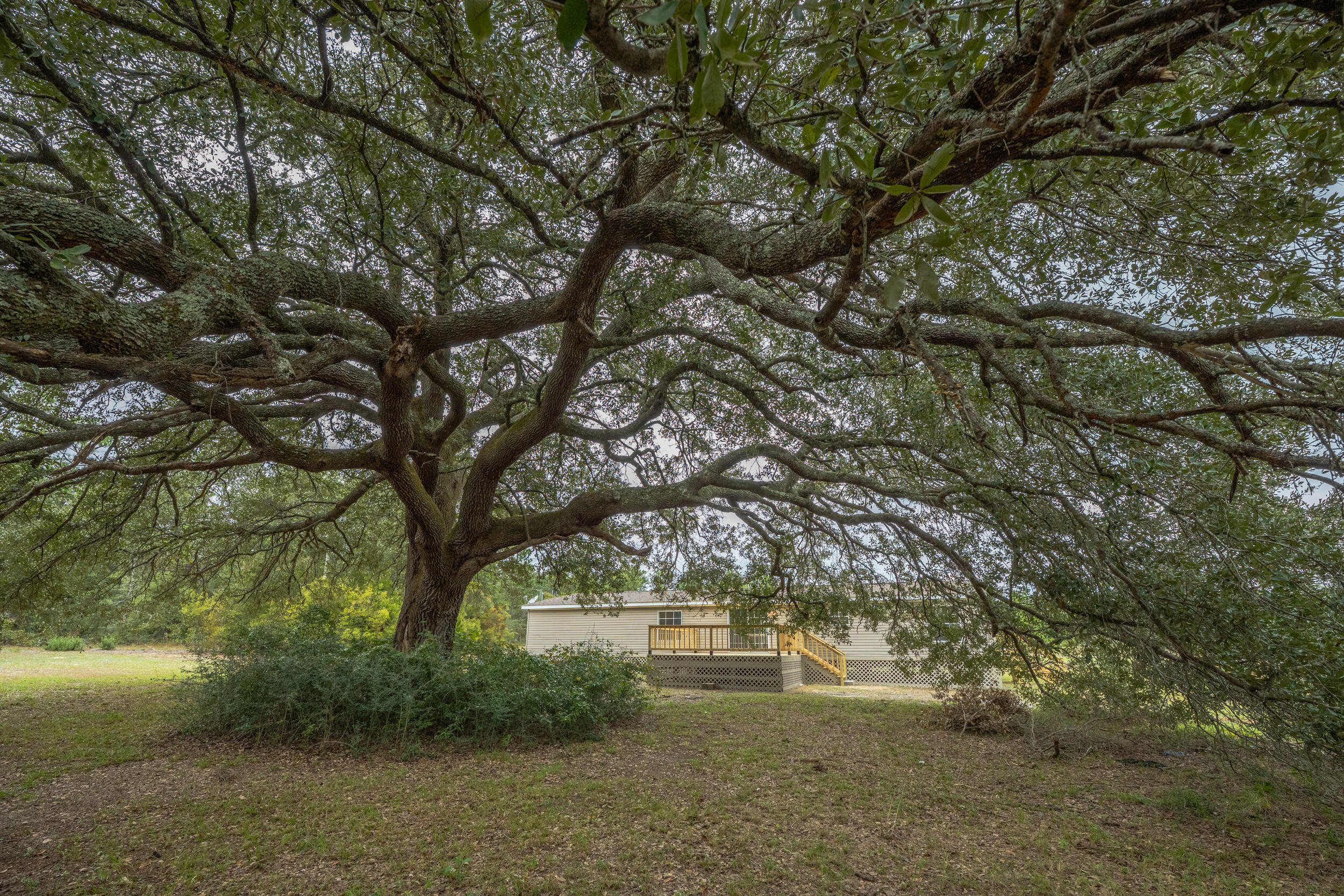 Dorcas - Residential