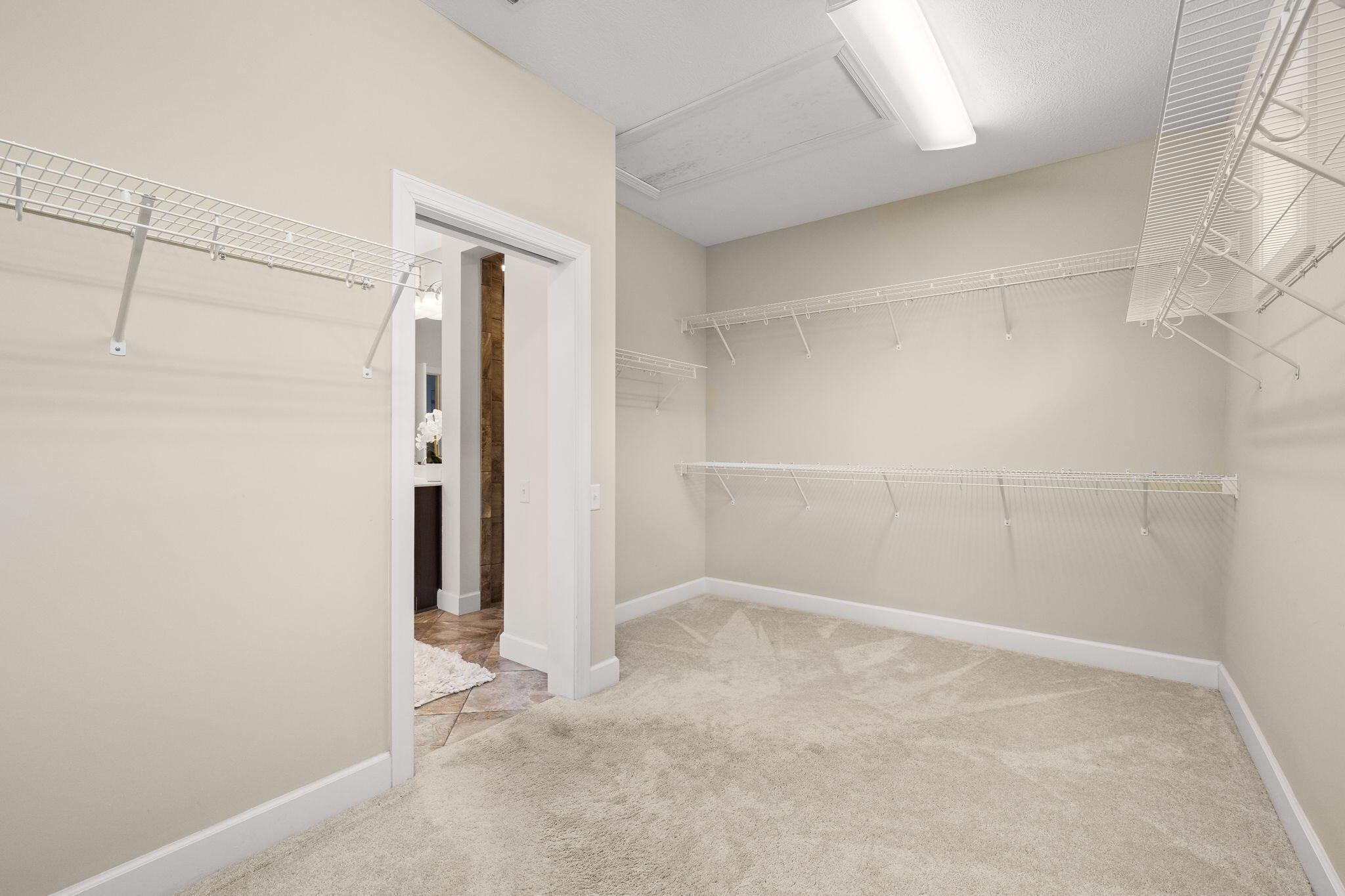 WILD HERON - Residential