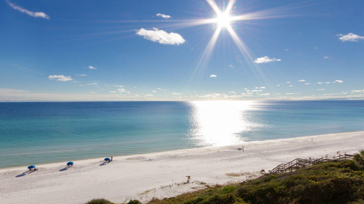 GULF PLACE TOWN CENTER CONDO - Residential