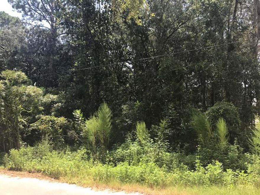 Generous sized 75x150 lot across the street from Choctawhatchee Bay. Beautiful quarter acre parcel, high & dry, with mature trees that offers a location that can't be beat. Build your dream house at the bay with no build out time or HOA fees. This location is within a 10 min drive to 30A beaches, shopping, dining, entertainment & activity. ***Buyer is responsible for personally verifying details about this property. All information contained on the listing is believed to be accurate but not guaranteed. ***
