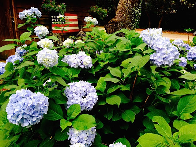 KENWOOD S/D - Residential