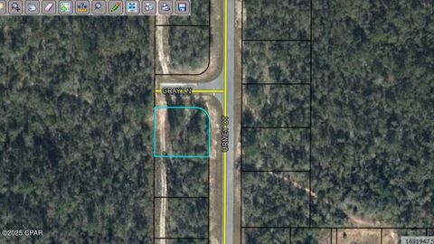 Photo of 0 Urmey Court, Chipley, FL 32428 (MLS # 987913)