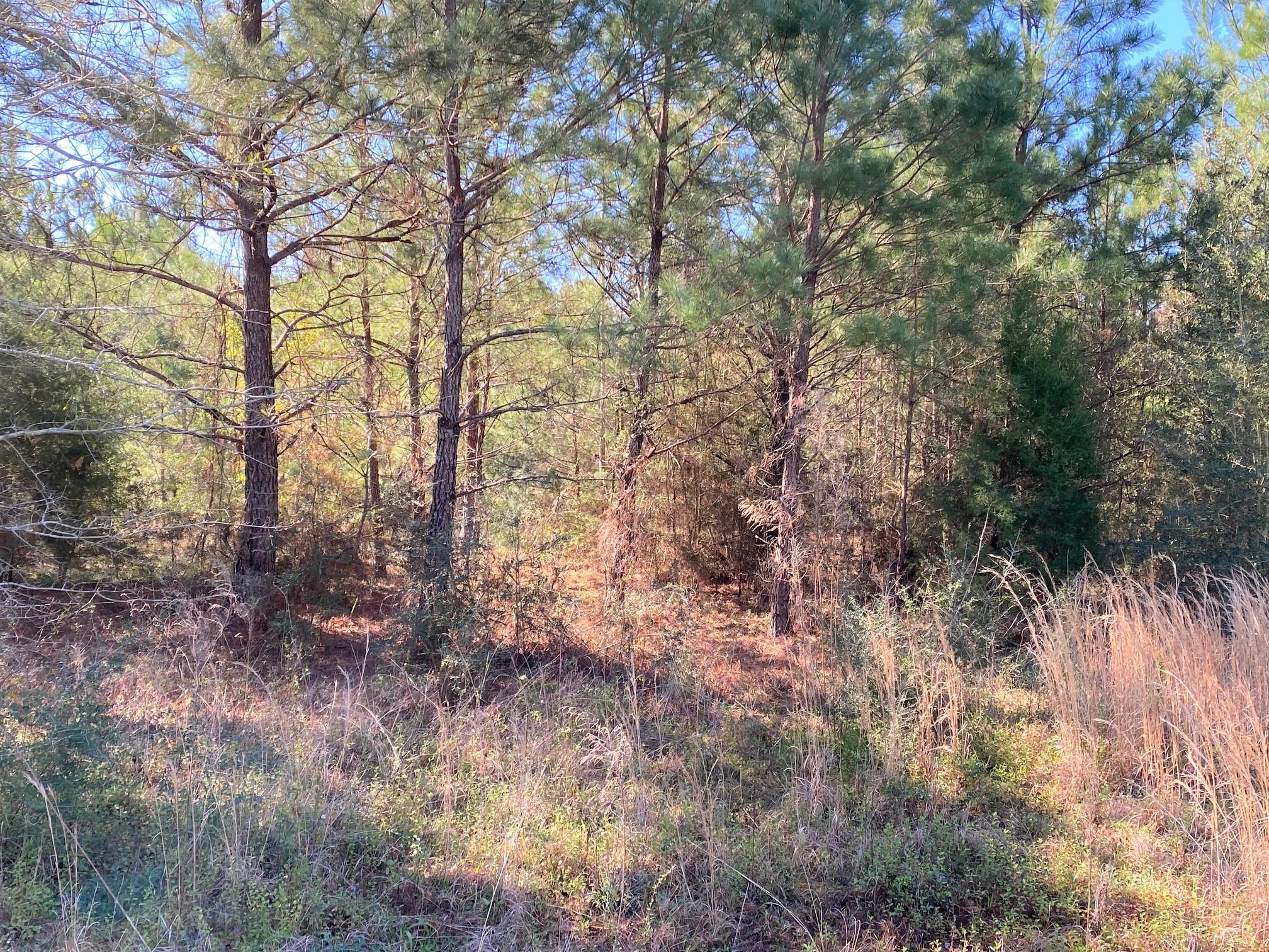 METES & BOUNDS - Land