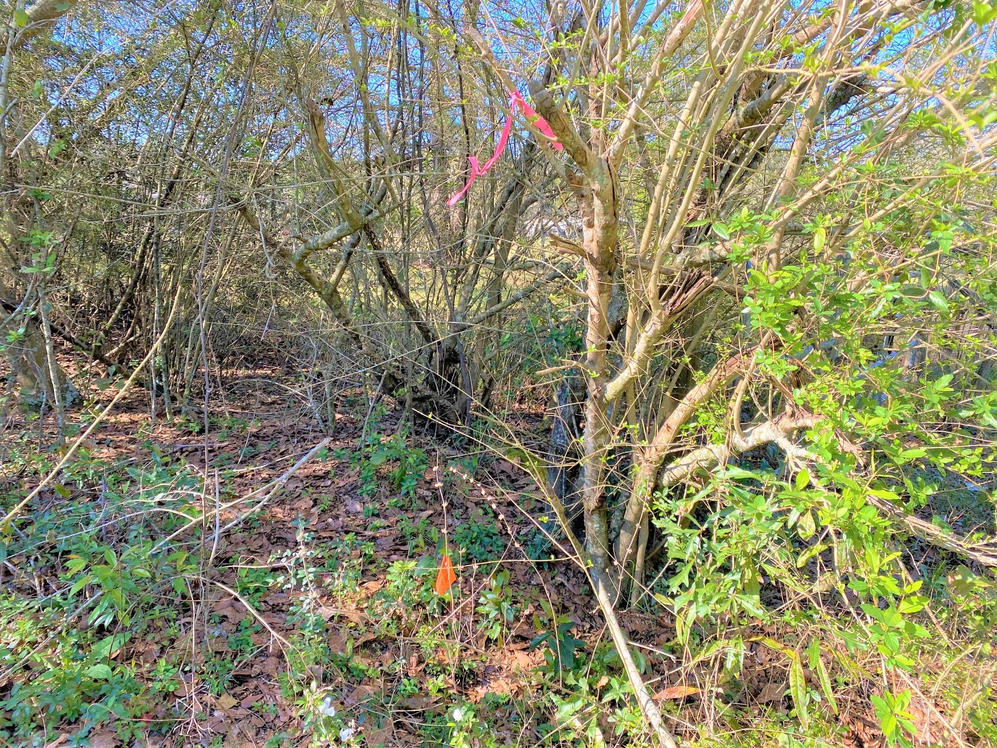 METES & BOUNDS - Land