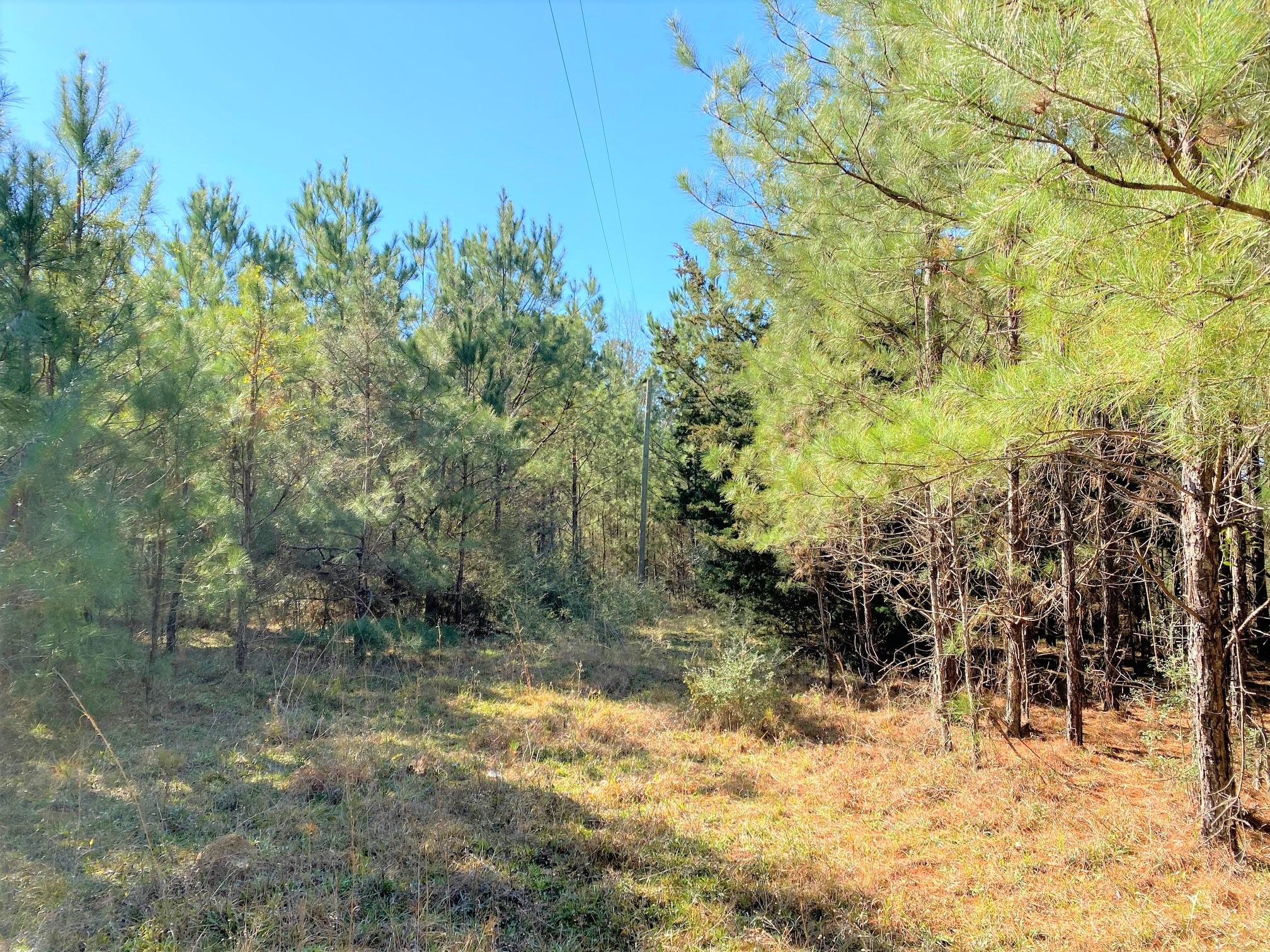 METES & BOUNDS - Land