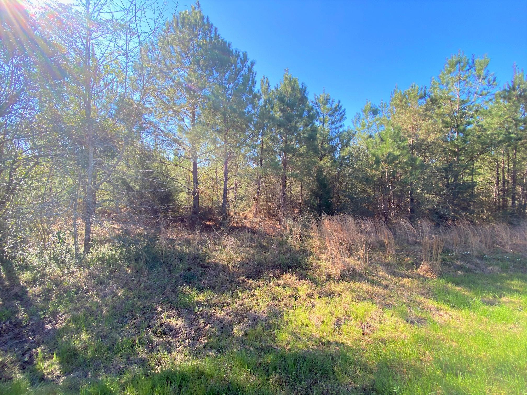 METES & BOUNDS - Land