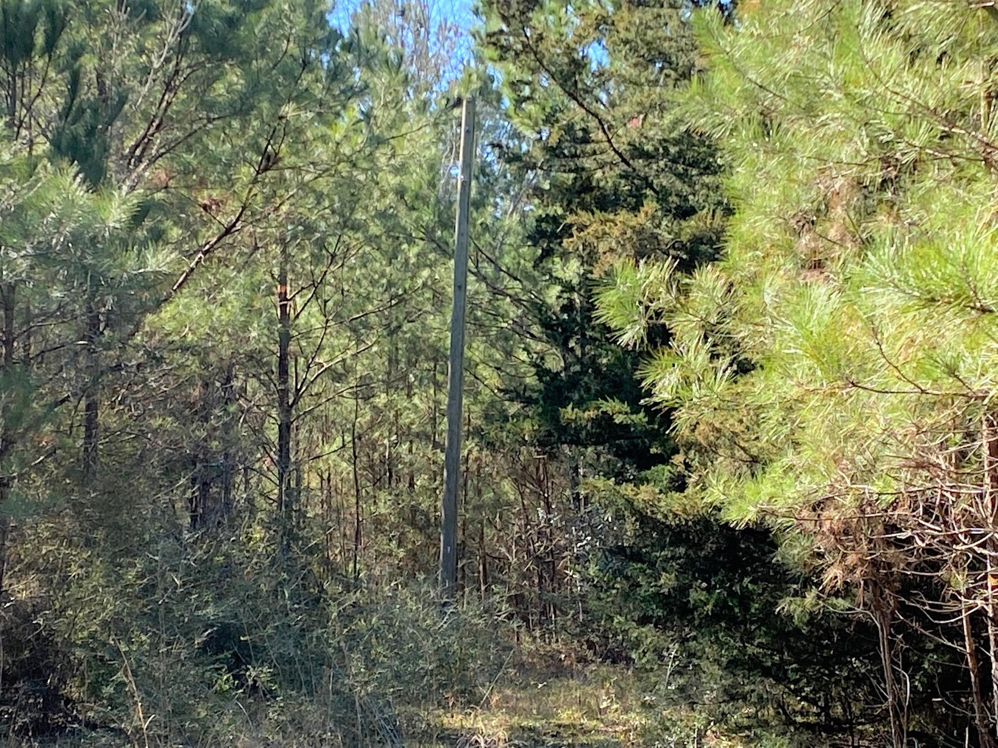 METES & BOUNDS - Land