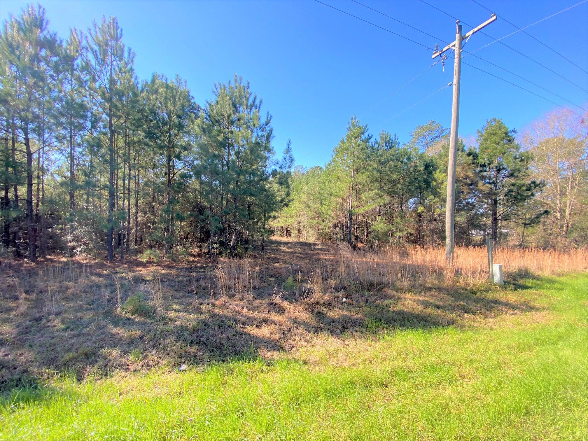 METES & BOUNDS - Land