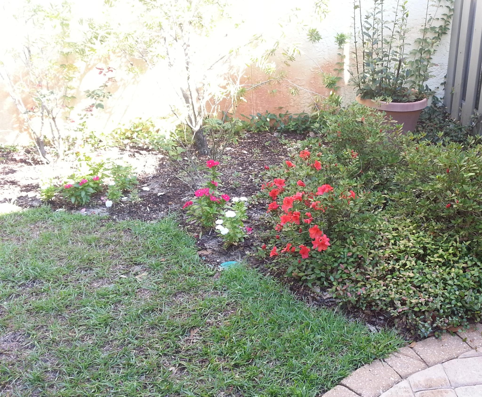 ROYAL OAK VILLAGE - Residential