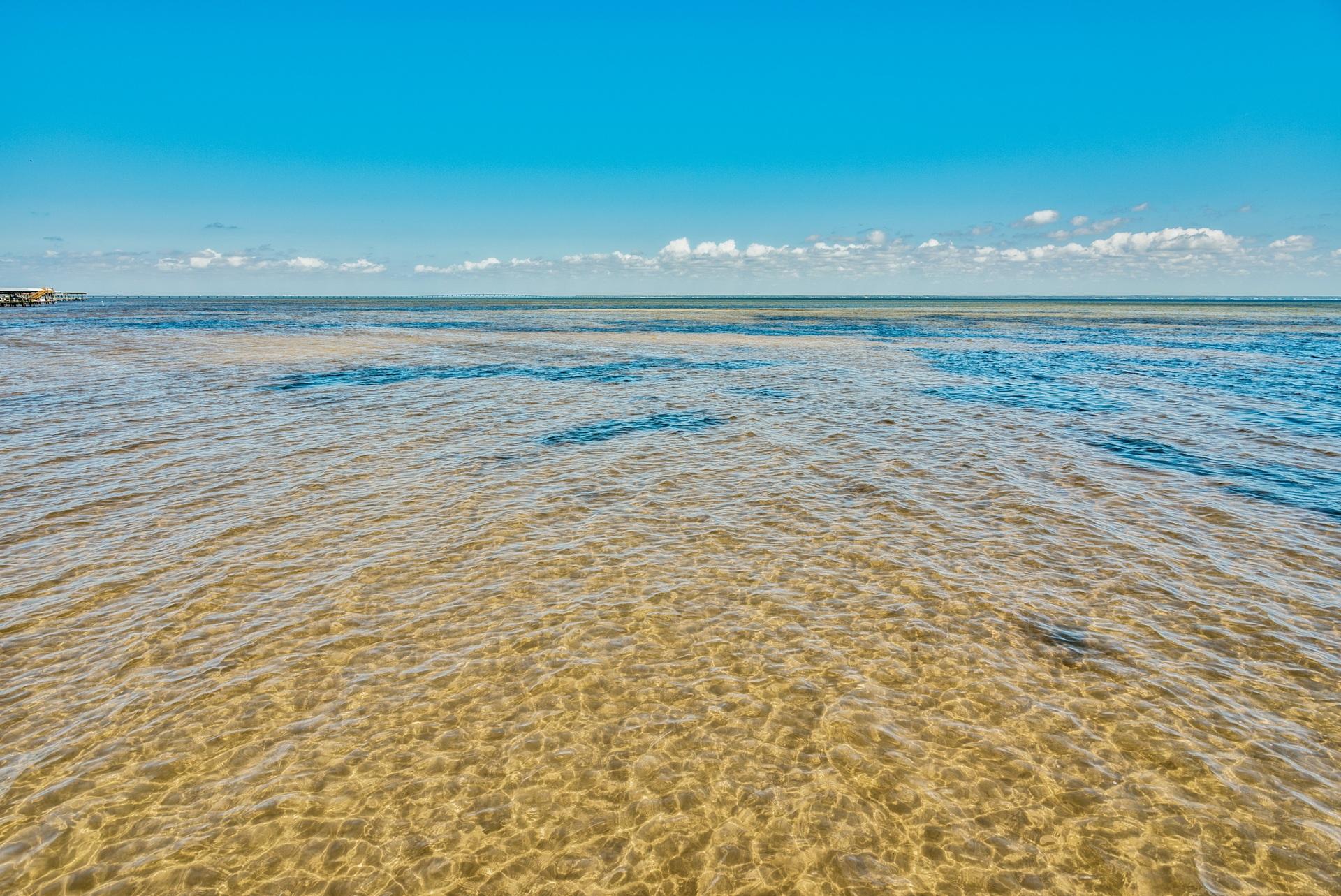 BAYSHORE GARDENS - Residential