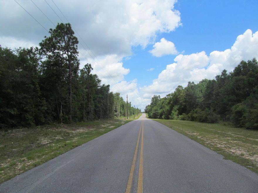 Attractive ten acre parcel. Perfect home site. Pave road frontage. Just North of city limits of Defuniak Springs. Power pole with electric meter in place. Mobiles welcome.