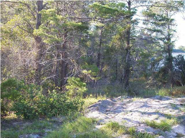 DUNE ALLEN 2ND ADDN - Land