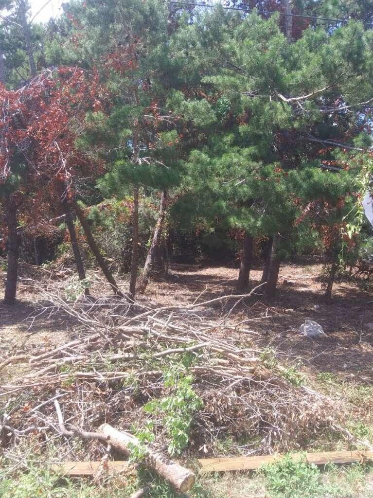 WYNNEHAVEN BEACH ESTATES - Land