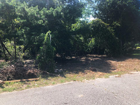 WYNNEHAVEN BEACH ESTATES - Land