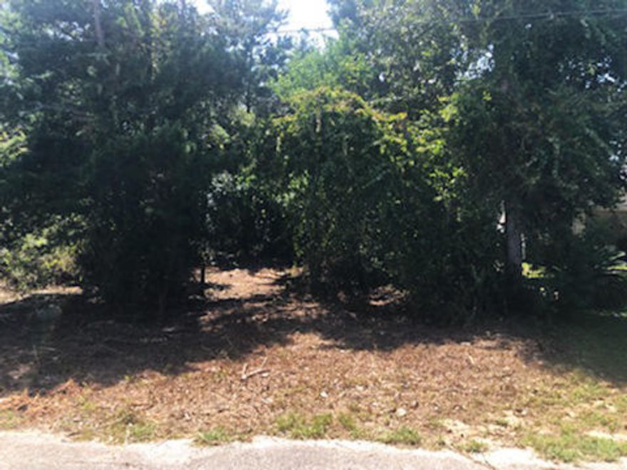 Tucked away in a quiet neighborhood just north of Hwy 98. One of 2 lots left in this charming community west of Hurlburt and minutes from Eglin AFB, the beach, shopping, dining, entertainment, and outdoor activities. Lot size 135 x 75 partially cleared. No HOA allows for parking of RV's and campers. Easy access to Okaloosa Island, Fort Walton Beach and Navarre. Other end of Palmetto is a cul-de-sac. Home site is within 15 minutes of boat launch at Misty Water Way in Mary Esther or Juana's Pagoda in Navarre Beach