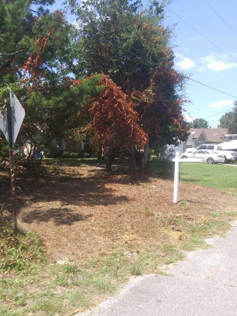 WYNNEHAVEN BEACH ESTATES - Land