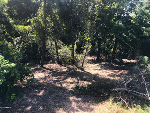 WYNNEHAVEN BEACH ESTATES - Land