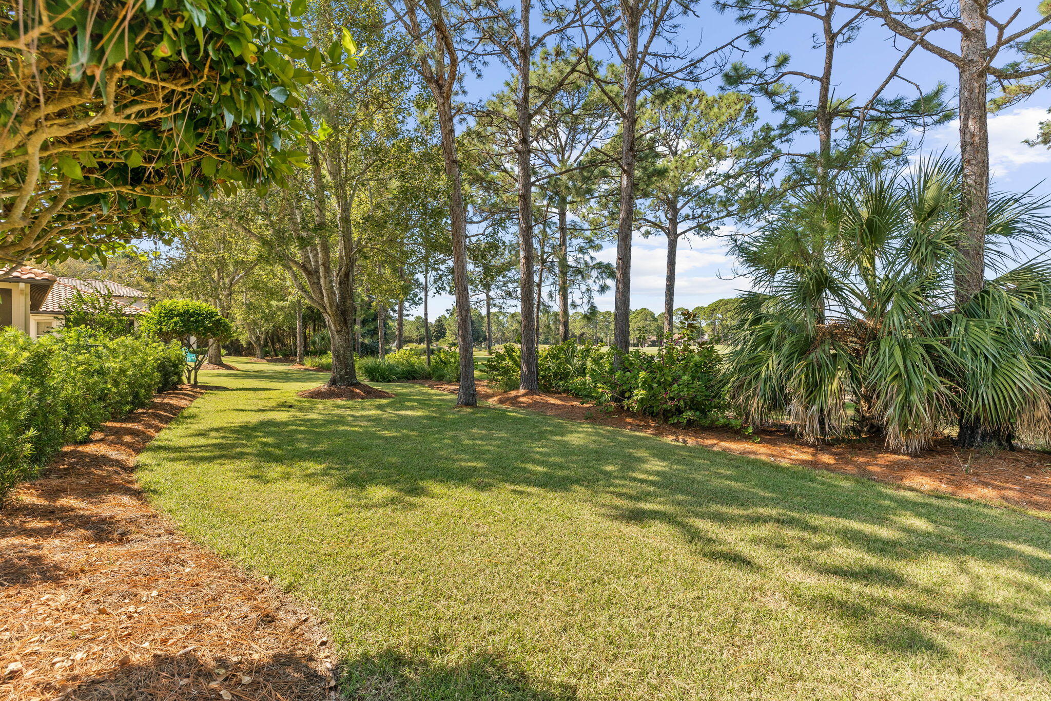 VINEYARD AT RAVEN OAKS - Residential