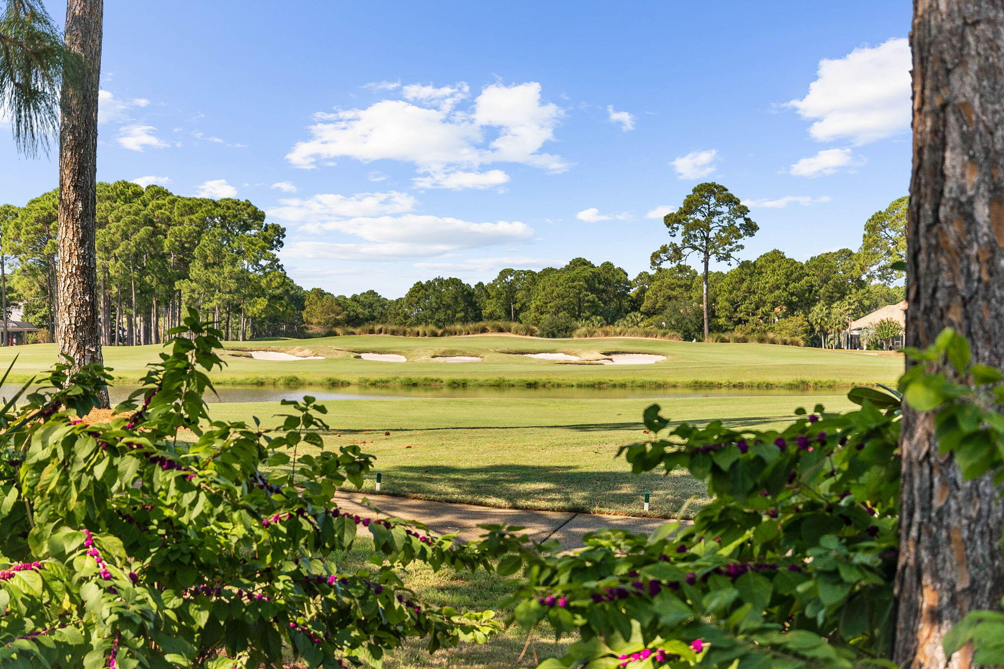 VINEYARD AT RAVEN OAKS - Residential