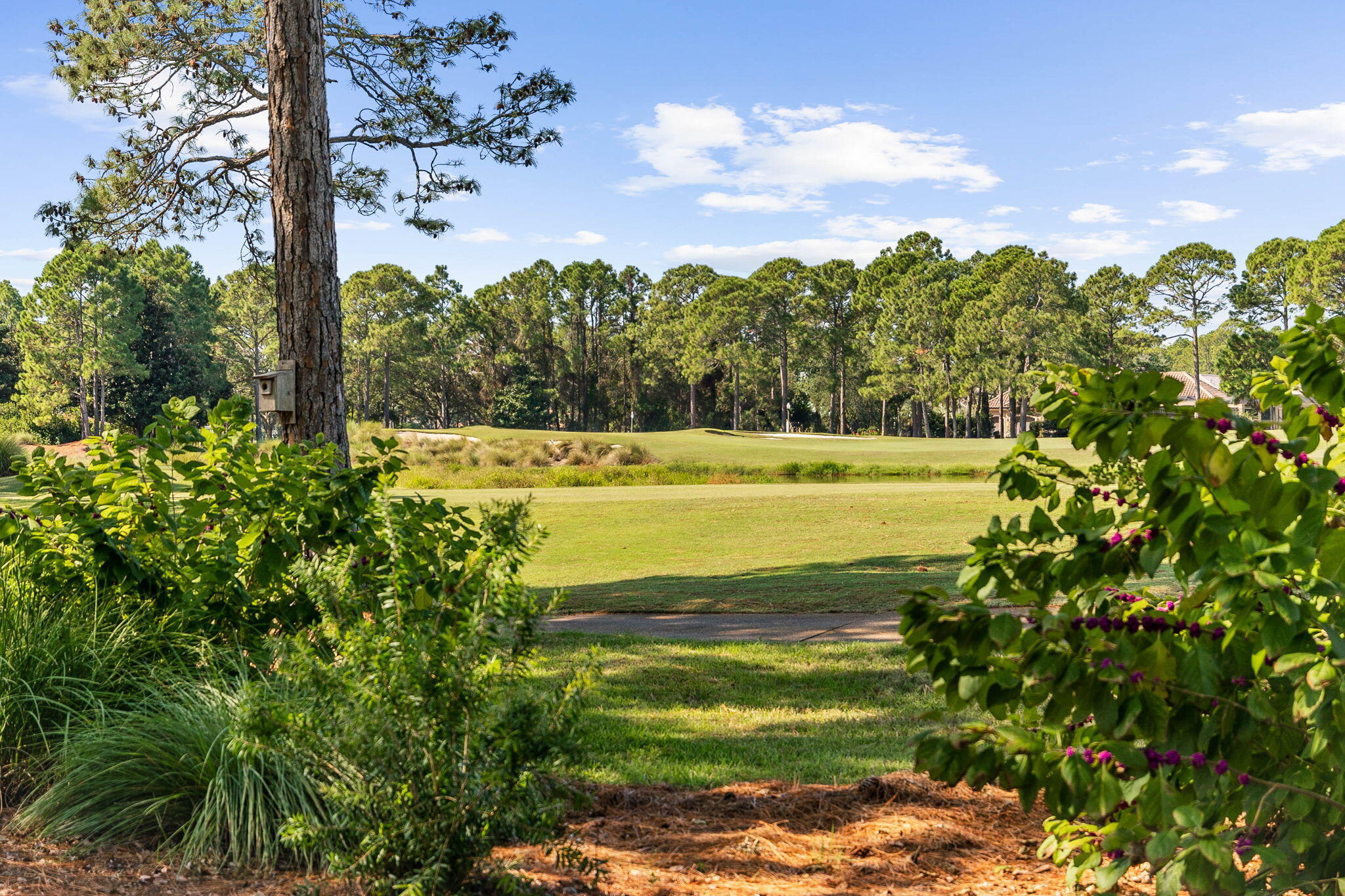 VINEYARD AT RAVEN OAKS - Residential