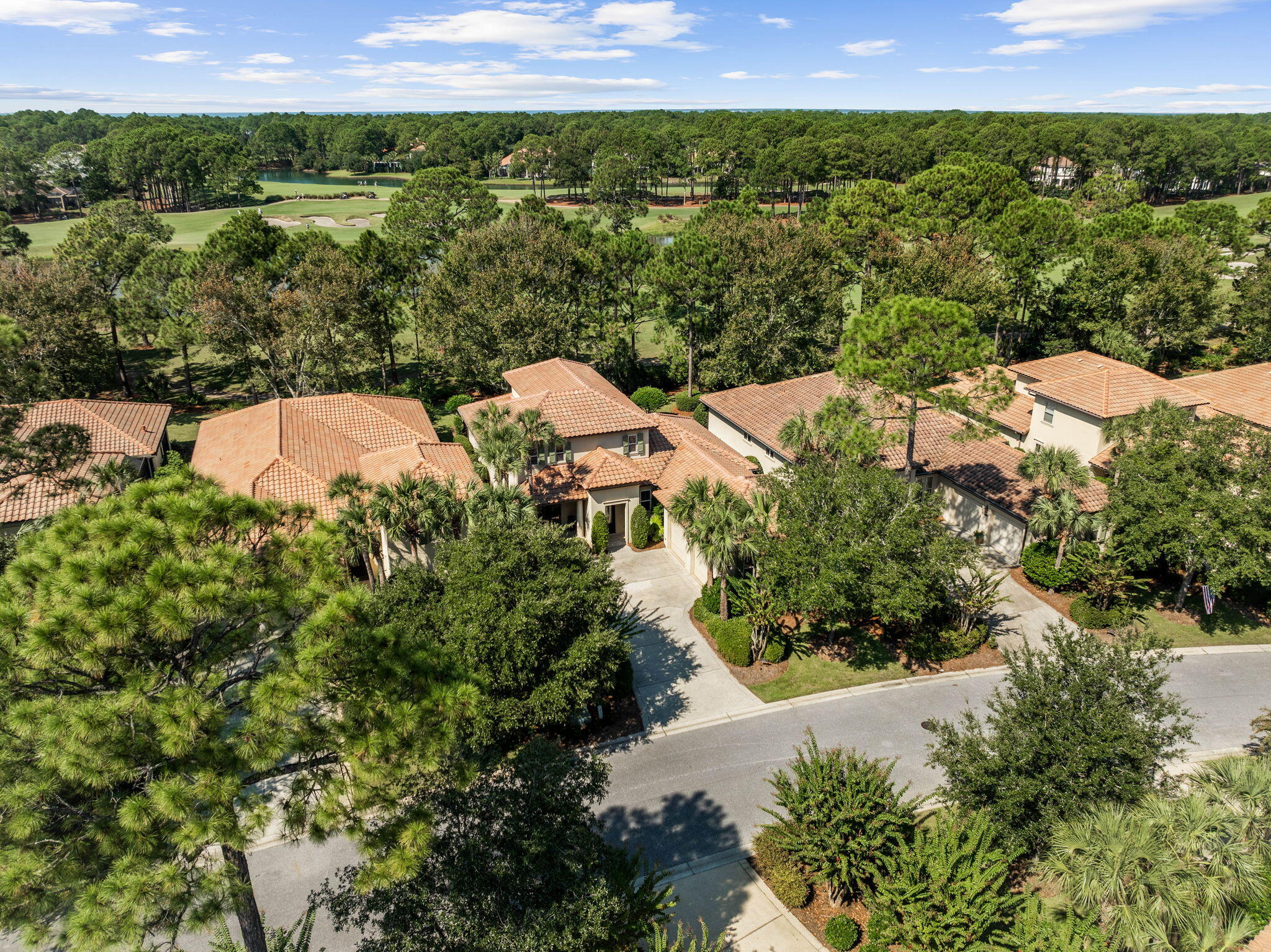 VINEYARD AT RAVEN OAKS - Residential