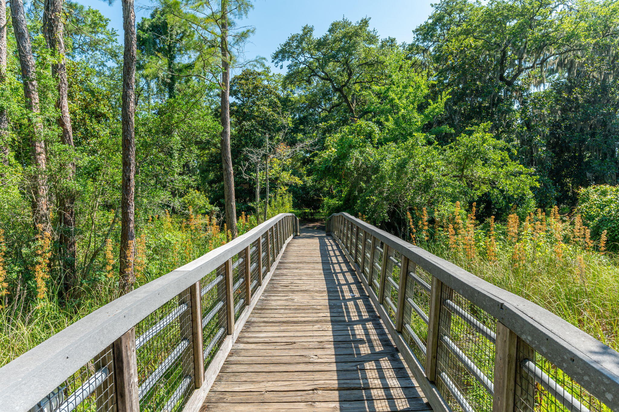 VINEYARD AT RAVEN OAKS - Residential