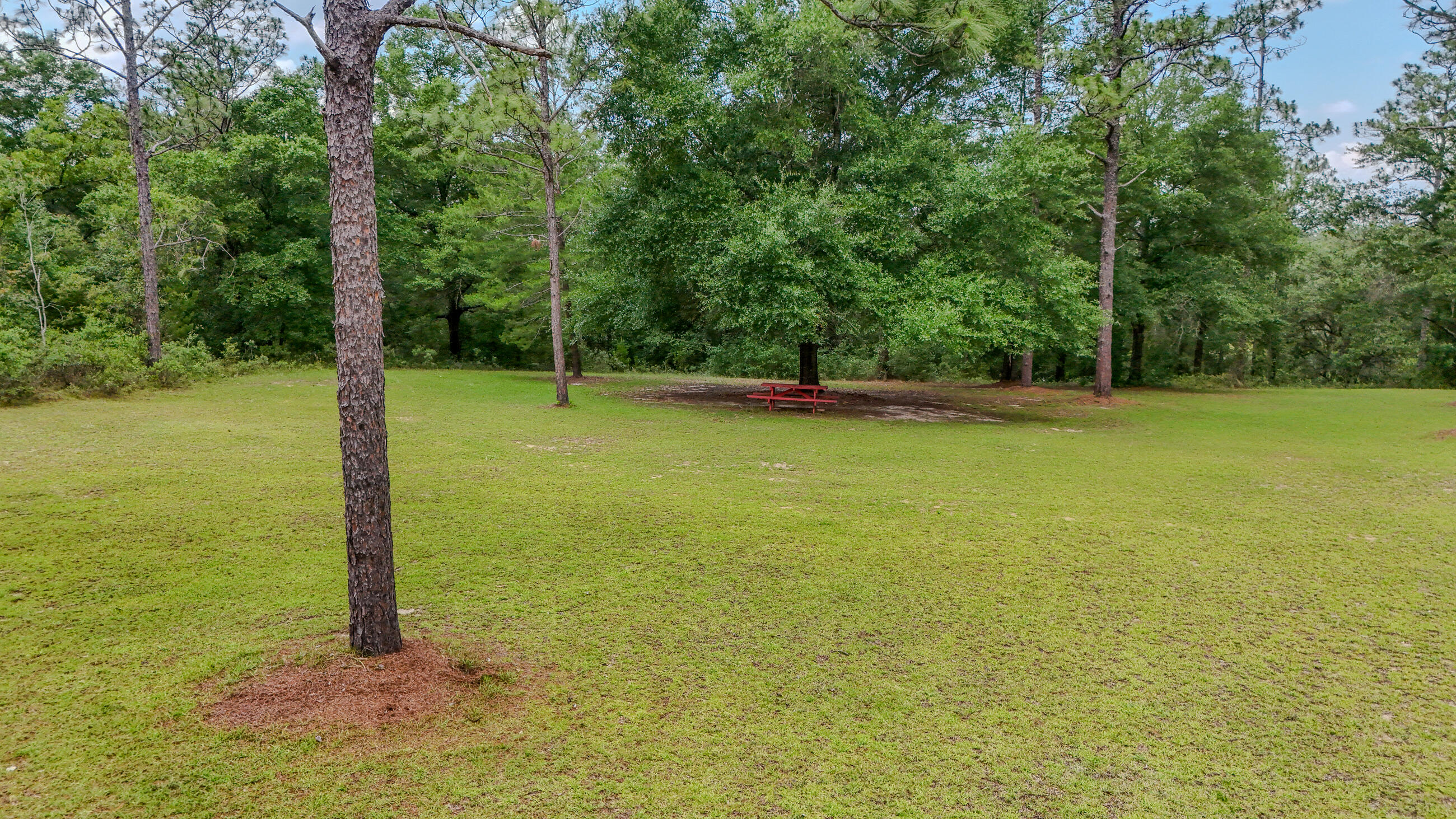 Grassy Pond Ranches - Residential