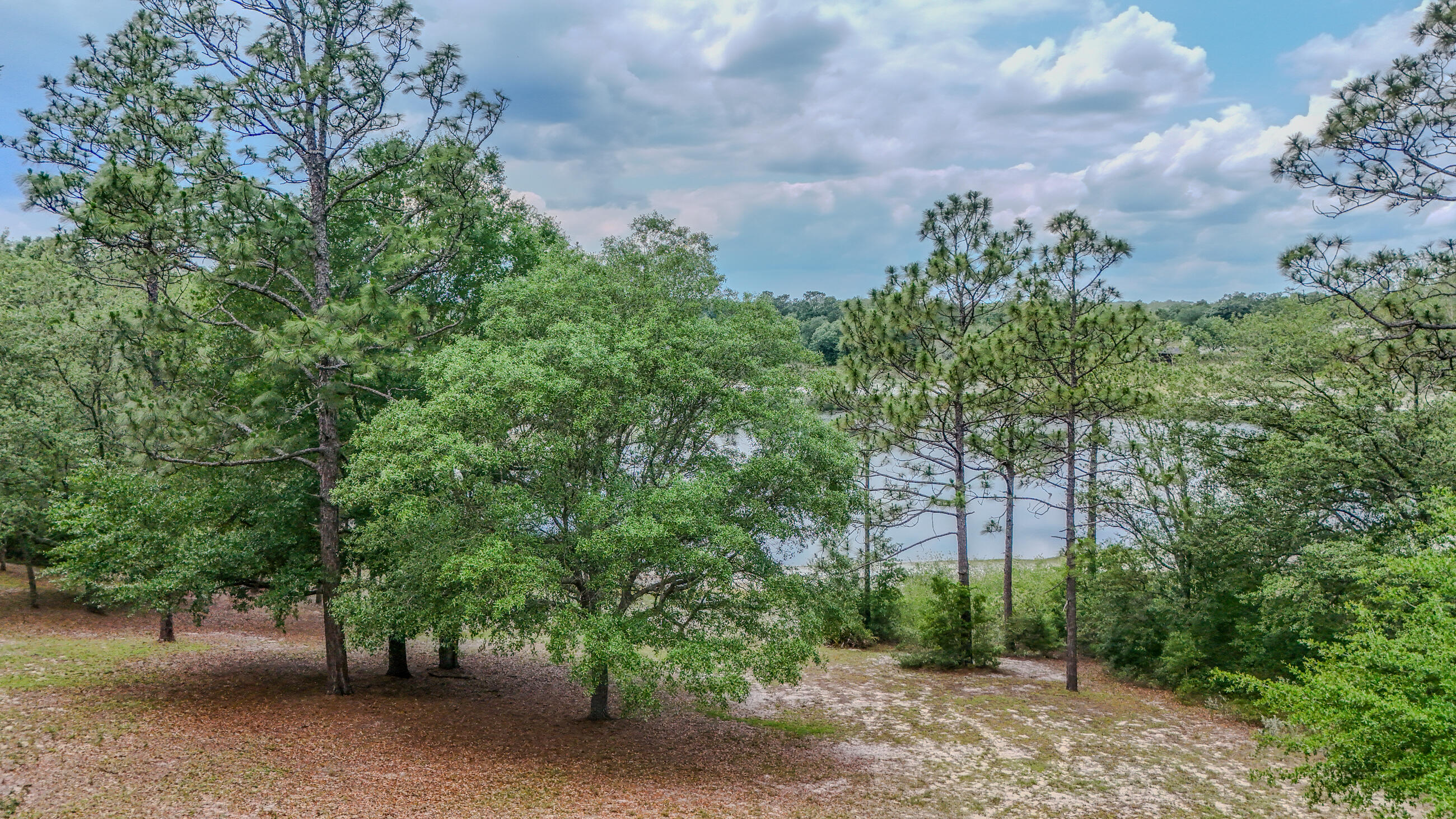 Grassy Pond Ranches - Residential