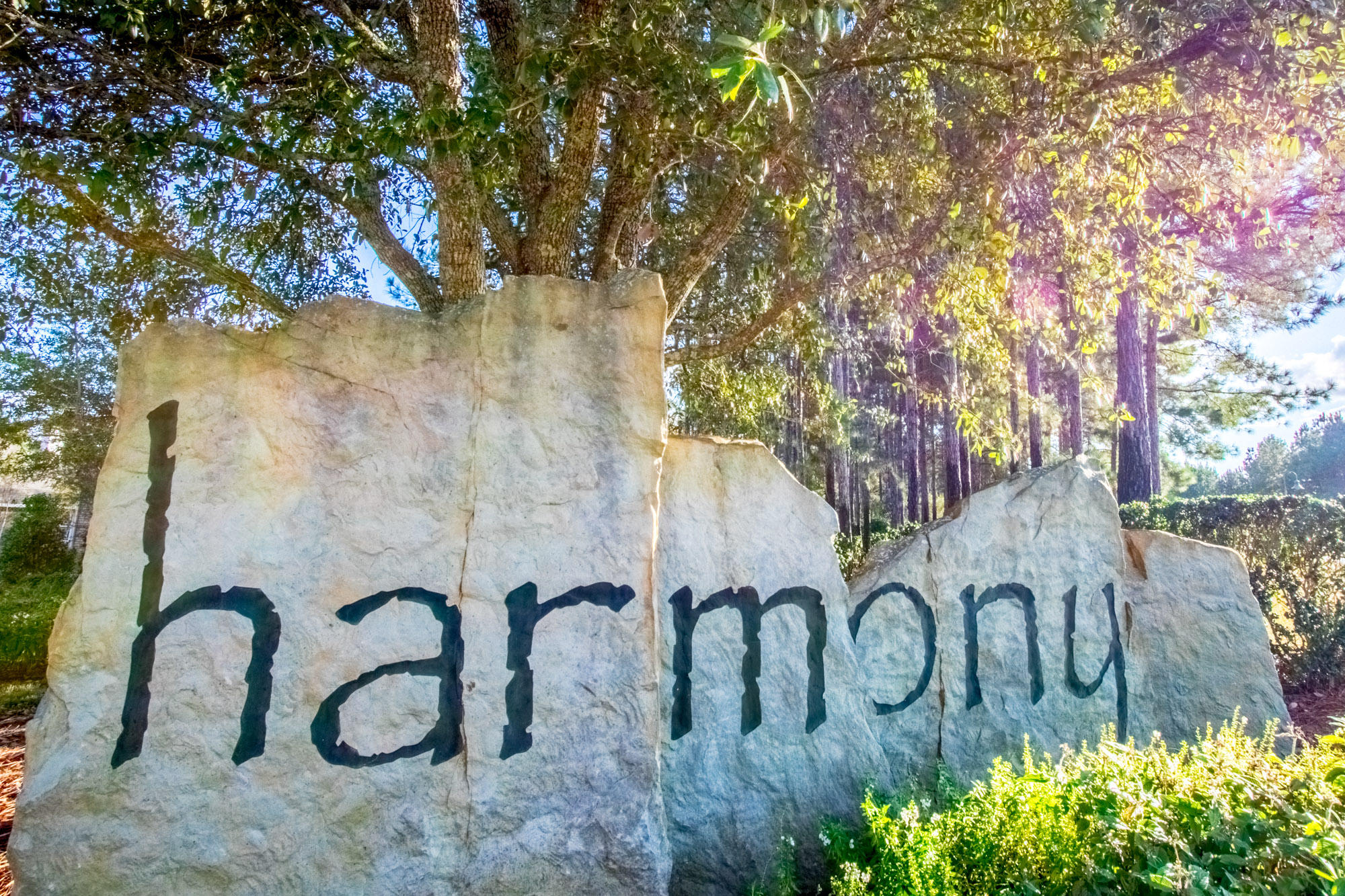 HAMMOCK BAY - Residential
