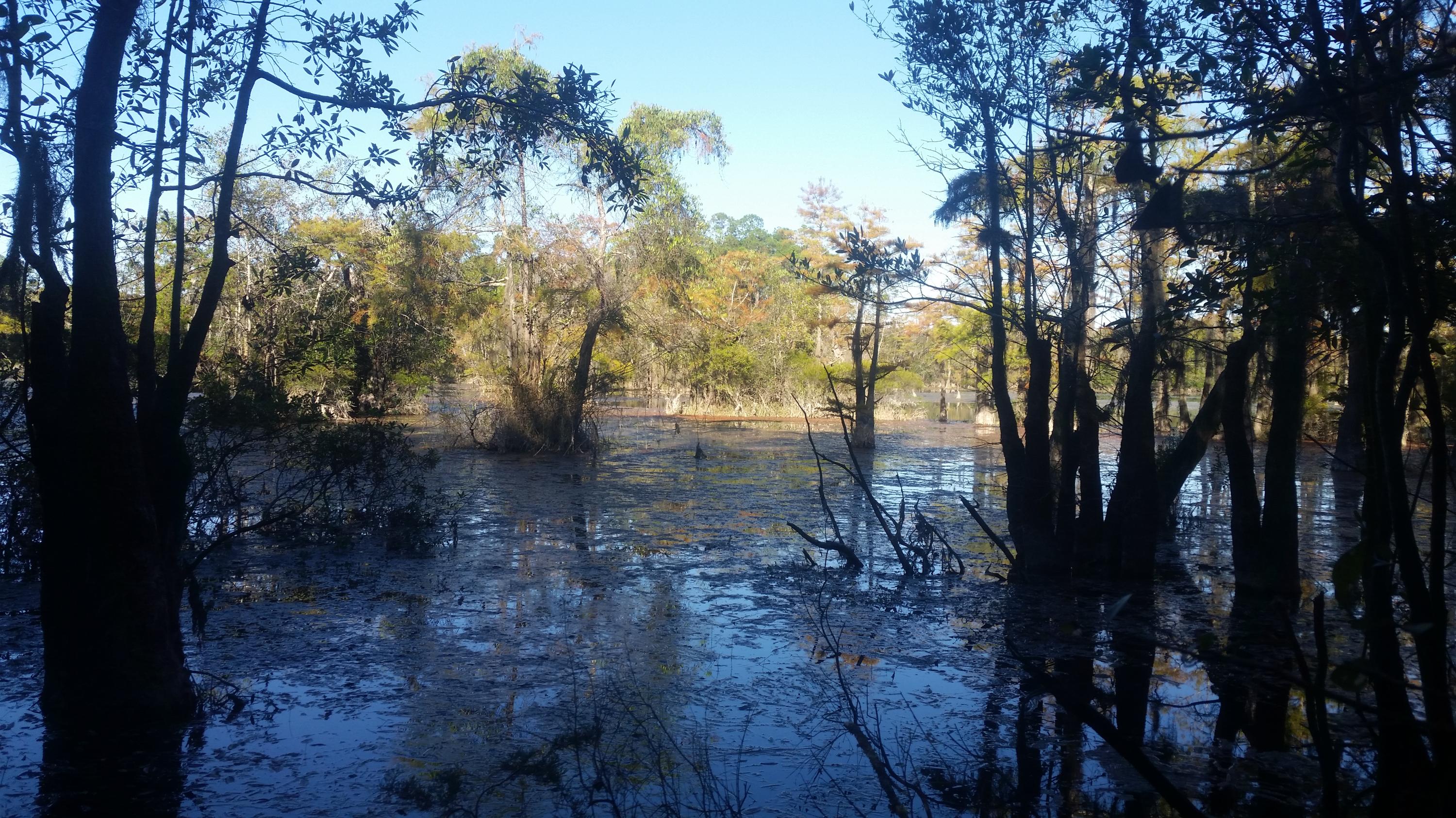 A unique parcel that has river access, 2 ponds, trails and wildlife, a hunter's paradise. Part of the property runs along the Black River but water frontage is an estimate from the sellers, 400'( +) (-) This parcel has a recorded easement thru private property. Listing broker must accompany all showings for access.