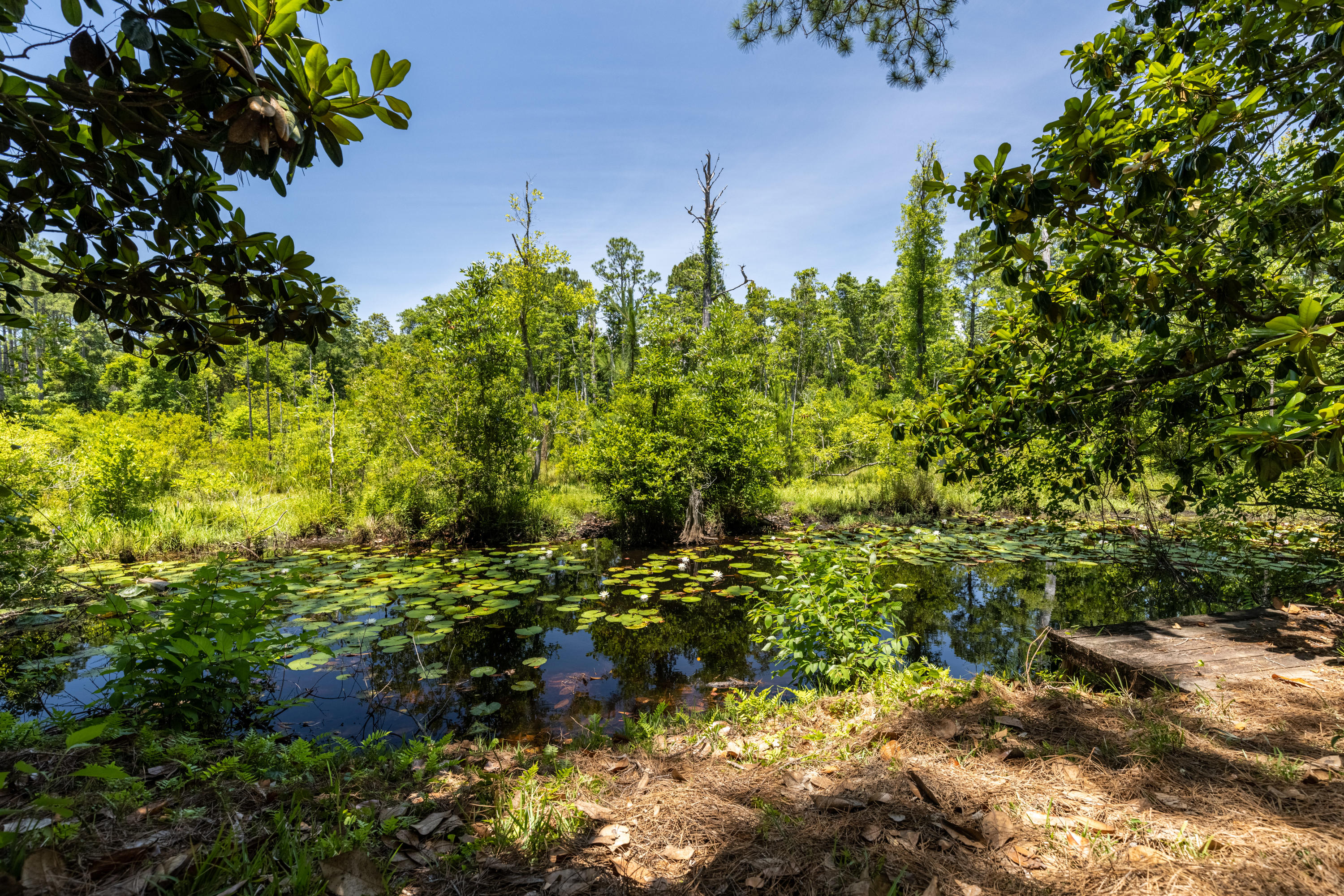 Seagrove Shores 4th Addition - Residential