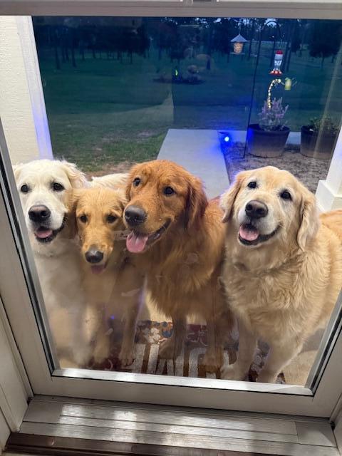 PATRIOT RIDGE - Residential Lease