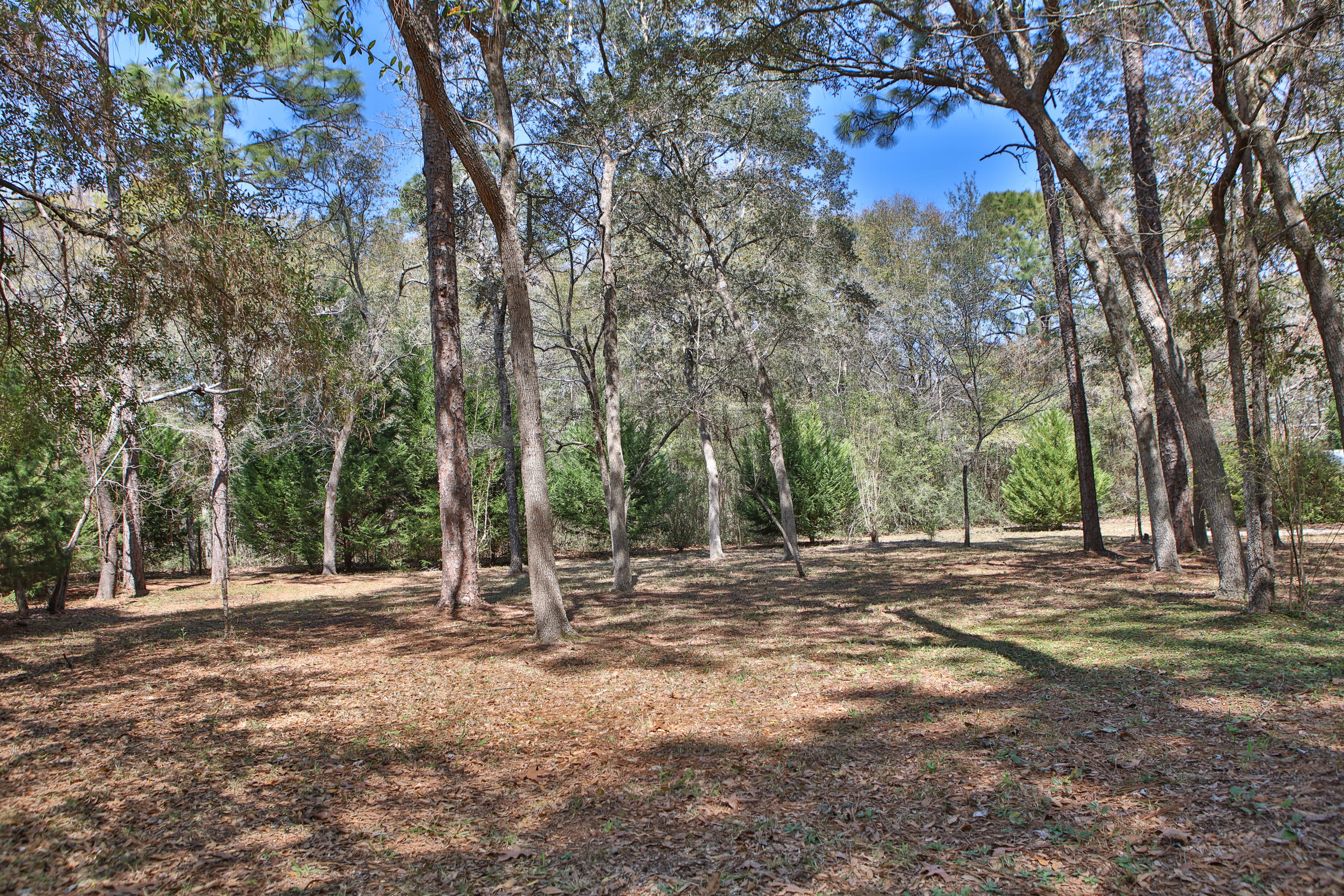 PIPERS LANDING - Residential