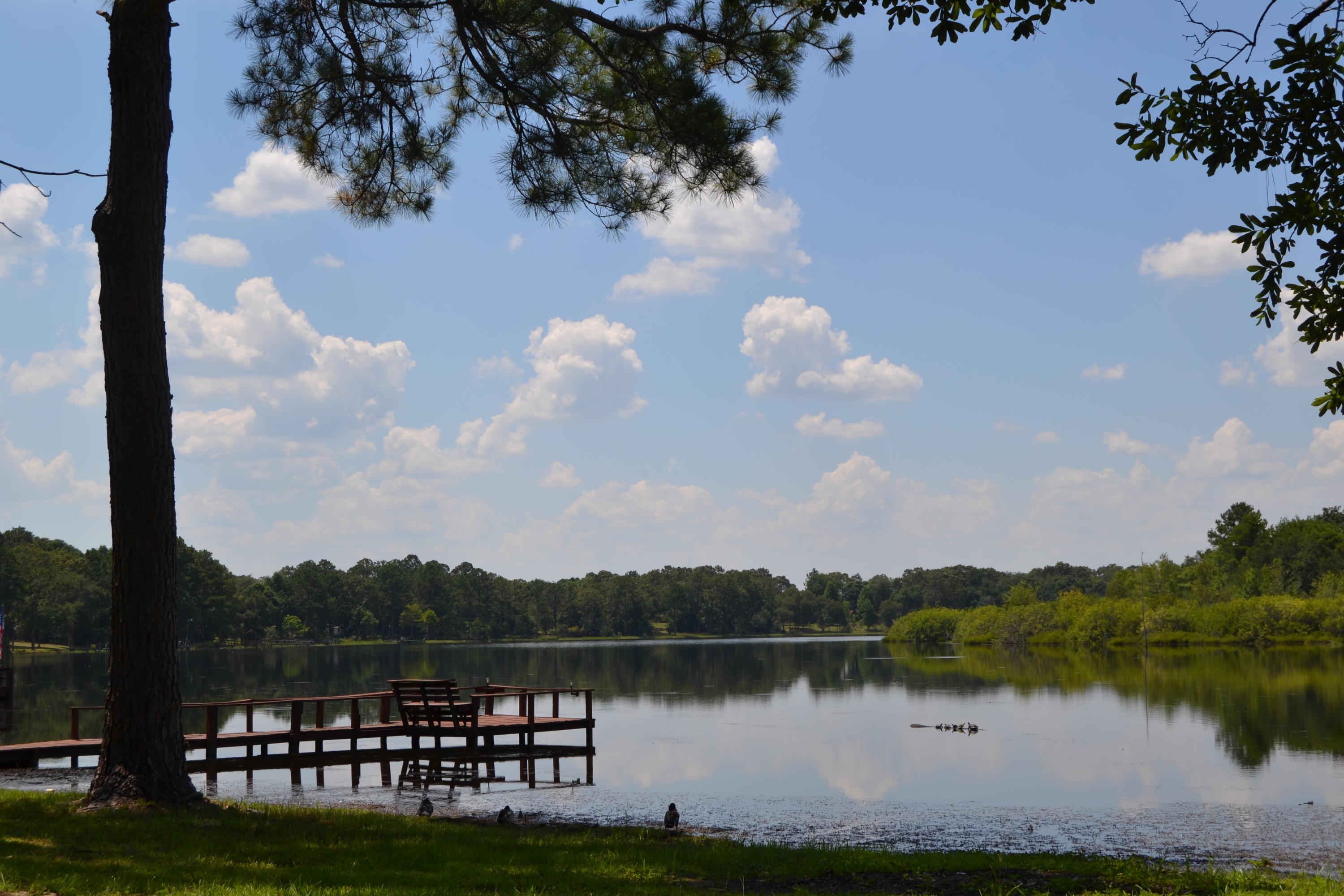 PIPERS LANDING - Residential