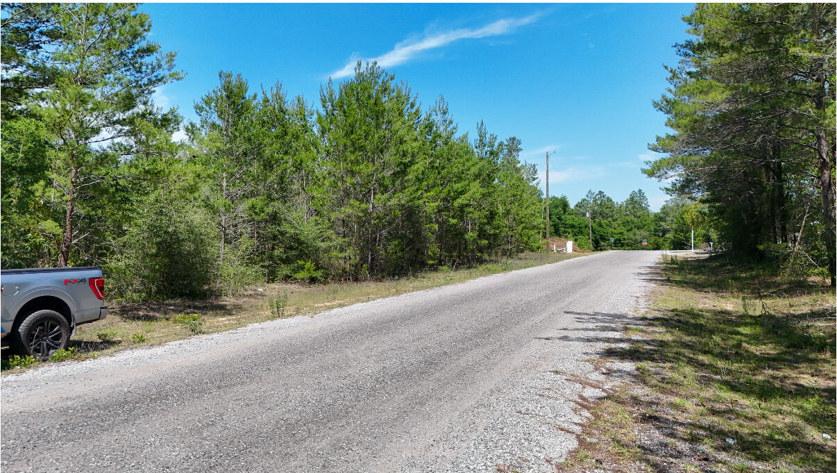 Welcome to the peaceful and picturesque community of Oakwood Hills, where natural beauty meets everyday convenience. This spacious parcel of land is perfectly positioned on a paved road, offering an ideal foundation for your custom dream home. Whether you're envisioning a cozy cottage or a spacious retreat, this property provides the flexibility and setting to bring your vision to life.With utilities readily available at the road, the building process is made easy and efficient, saving you both time and money. Oakwood Hills offers a true sense of escape while still keeping you close to everything.Just 3.5 miles down the road, you'll find shopping and dining options. The beautiful beaches of S. Walton are only 35 miles away perfect for a day trip.Welcome Home.